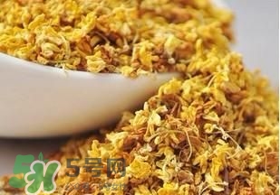 桂花茶怎么泡？桂花茶泡水喝的禁忌 