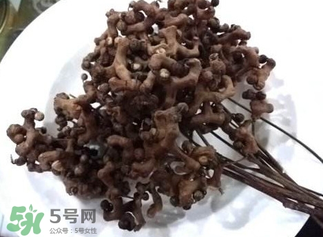 拐棗可以嫁接嗎？拐棗是哪里的特產(chǎn)