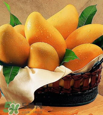 芒果怎么吃？芒果的做法大全