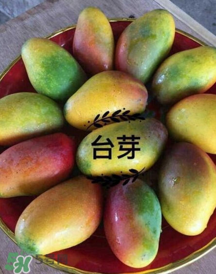 芒果有哪些品種？哪種芒果最好吃？