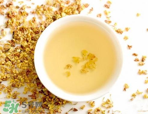 桂花茶怎么泡好喝？桂花茶怎么制作？