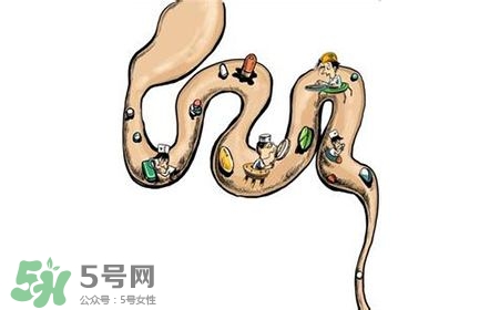 螺旋藻能治胃病嗎？有胃病日常需要注意什么？