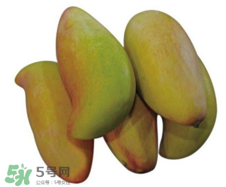 芒果有哪些品種？哪種芒果最好吃？