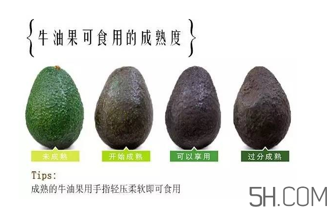 牛油果和香蕉一起能多吃嗎？牛油果挑什么樣的好？