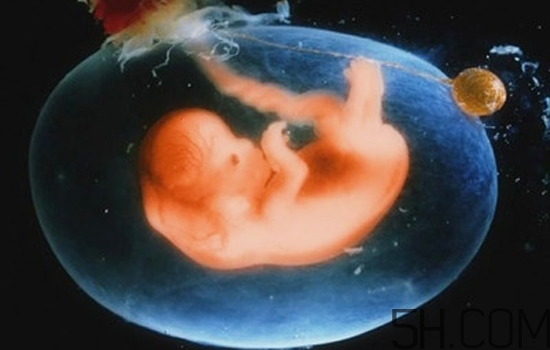 羊水過(guò)少怎么補(bǔ)最快？羊水過(guò)少怎么治療？