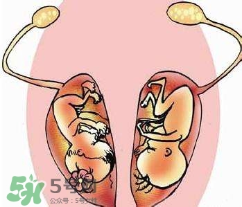 雙子宮對(duì)懷孕有影響嗎？雙子宮懷孕要注意什么？