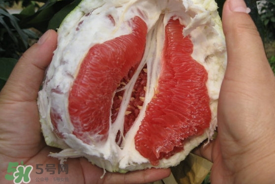 紅肉蜜柚可以儲存多久？紅肉蜜柚怎么挑選