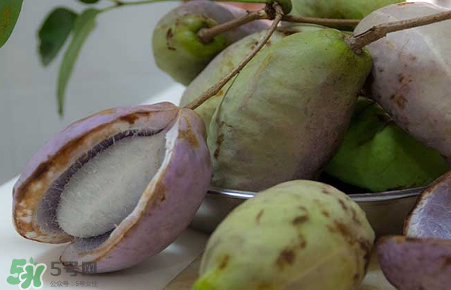 八月瓜的籽怎么吃？八月瓜籽的功效作用