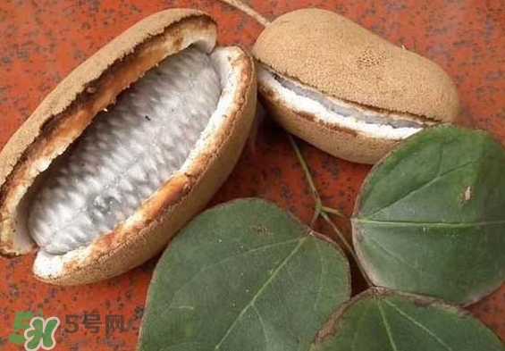 八月瓜能放冰箱嗎？八月瓜怎么保存？