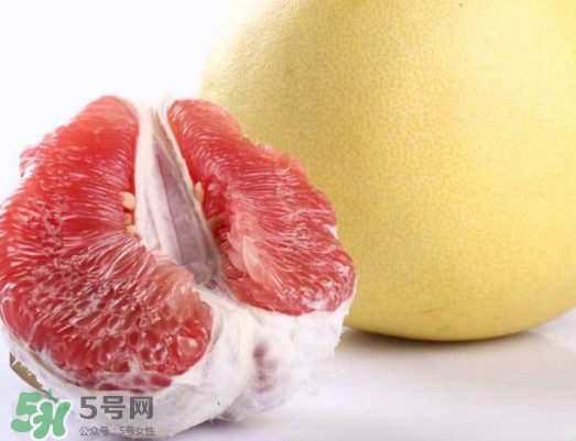 紅肉蜜柚是哪里產(chǎn)的？紅肉蜜柚的種植技術(shù)