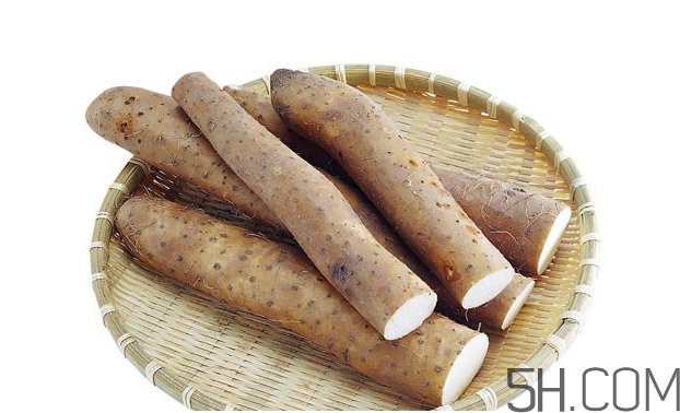 山藥發(fā)芽怎么處理？山藥的功效及作用