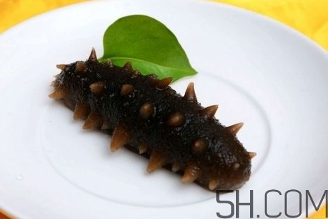 海參是高蛋白食物嗎？海參是素食嗎？