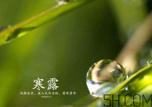 2017年寒露會(huì)下雨嗎？寒露下雨好嗎？