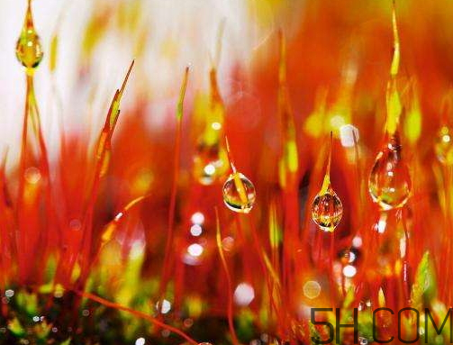 2017年寒露會(huì)下雨嗎？寒露下雨好嗎？