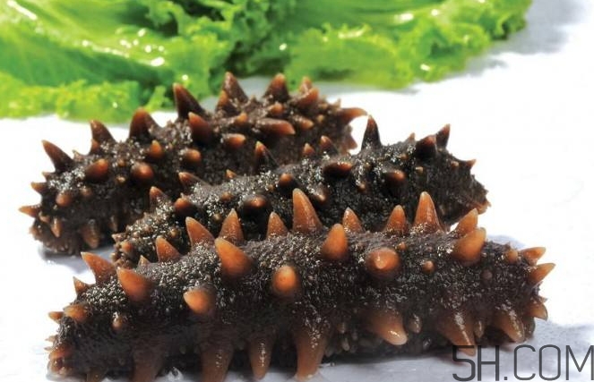 術(shù)后能吃海參嗎？術(shù)后吃海參的功效與作用