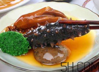 海參是海鮮嗎？海參是動(dòng)物還是植物？