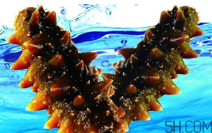 海參是酸性還是堿性？海參是涼性還是熱性？