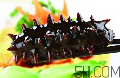 海參是高蛋白食物嗎？海參是素食嗎？