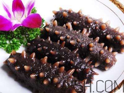 海參是高蛋白食物嗎？海參是素食嗎？