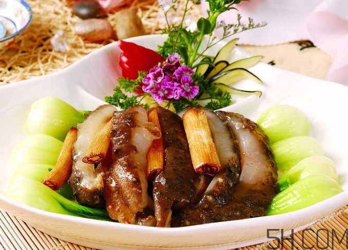 海參是高蛋白食物嗎？海參是素食嗎？