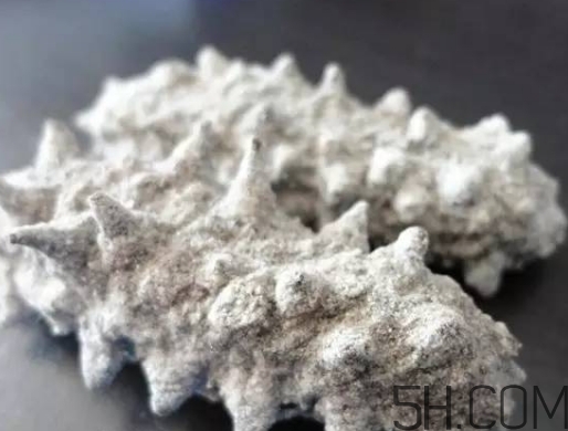 海參顏色深好還是淺好？海參顏色發(fā)白時(shí)怎么回事？