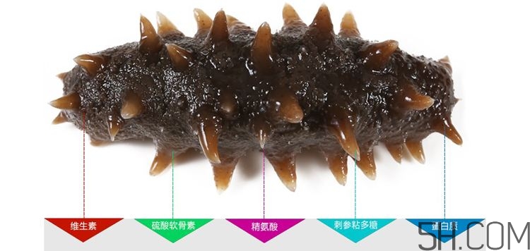 海參哪些部位不能吃？海參的禁忌人群