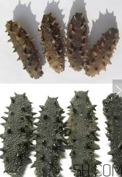 海參顏色深好還是淺好？海參顏色發(fā)白時(shí)怎么回事？