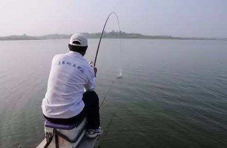 大蒜泡酒能釣魚嗎？大蒜泡酒釣魚的方法