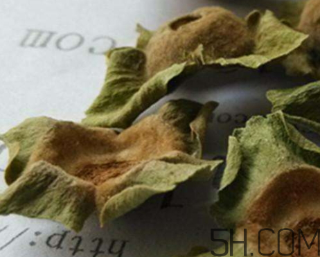 柿蒂治打嗝怎么煮水？柿蒂的功效與作用
