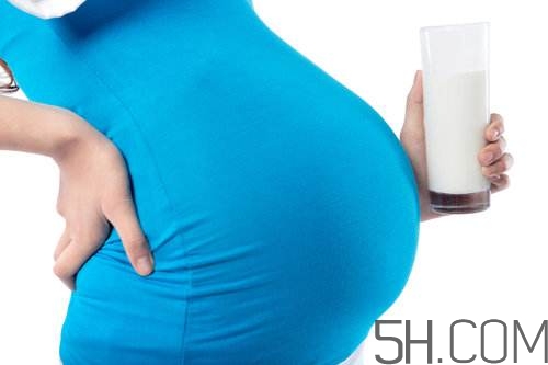 孕婦奶粉能加糖嗎？孕婦奶粉能不能加蜂蜜？