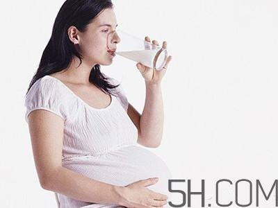 孕婦奶粉能加糖嗎？孕婦奶粉能不能加蜂蜜？