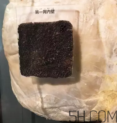 牛百葉和毛肚是一個(gè)東西嗎？牛百葉上面有層黑皮能吃嗎？