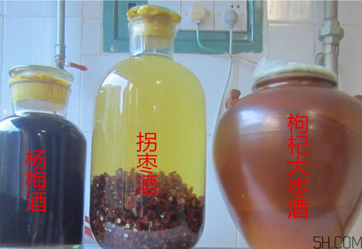 拐棗能泡酒嗎？拐棗能和蜂糖一起泡酒嗎？