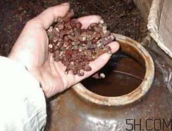 拐棗能泡酒嗎？拐棗能和蜂糖一起泡酒嗎？