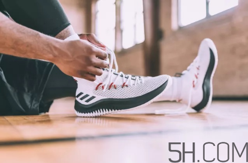 adidas dame 4多少錢？阿迪達(dá)斯利拉德四代上腳效果