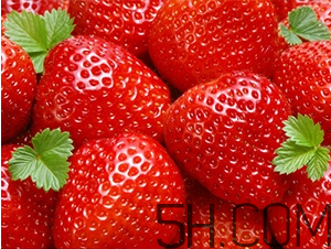 草莓都有哪些熱門(mén)品種？草莓怎么放不容易壞？