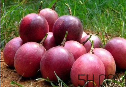 百香果幾月份的最好吃？百香果一次可以吃幾個(gè)？
