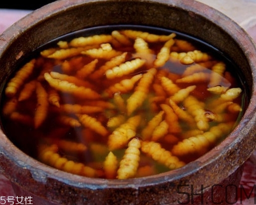 螺絲菜怎么腌制？螺絲菜的種植方法