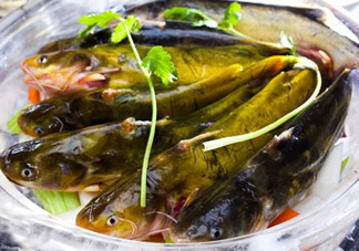 黃骨魚是發(fā)物嗎？黃骨魚是什么魚？