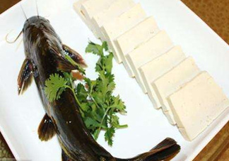 黃骨魚有刺嗎？黃骨魚有毒嗎？