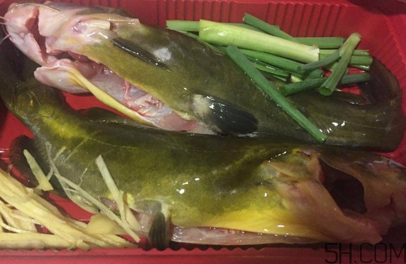 黃骨魚湯下奶嗎？黃骨魚湯的做法 