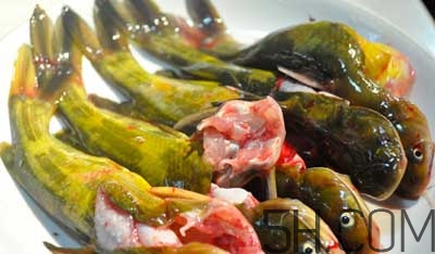 黃骨魚怎么處理？黃骨魚怎么清洗？