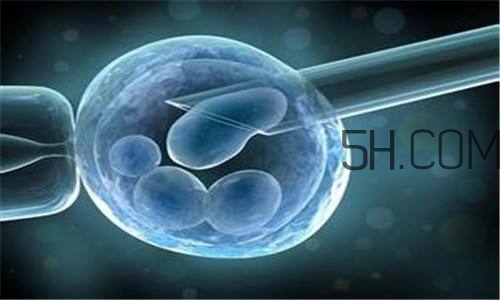 人工授精取卵子怎么取？人工授精男人怎樣取精？