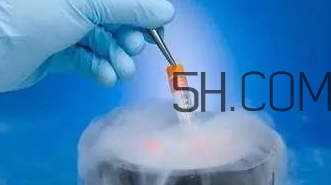 試管嬰兒有什么風(fēng)險？試管嬰兒長大后的弊端
