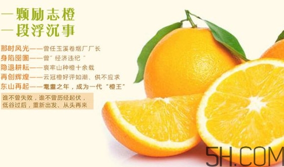 褚橙多少錢(qián)一斤？褚橙為什么這么貴