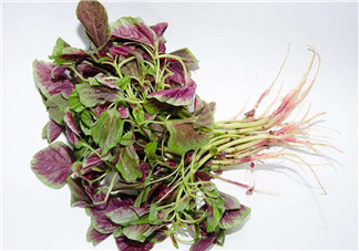 莧菜是酸性還是堿性？吃莧菜有什么好處？