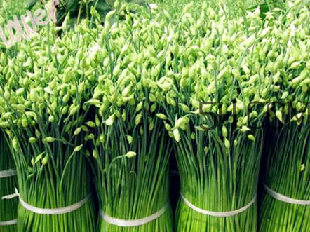 來(lái)月經(jīng)可以吃韭菜嗎？韭菜花的腌制方法