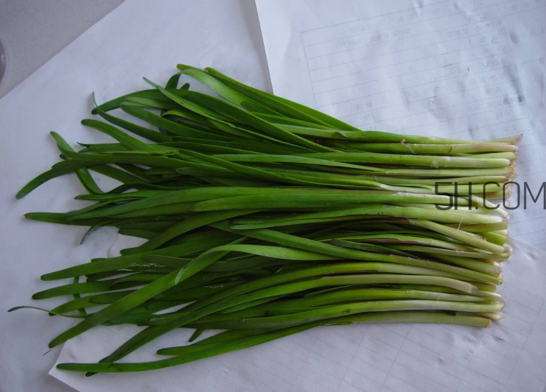 韭菜怎么保存？韭菜傷胃嗎？