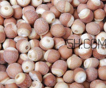 芡實(shí)是中藥嗎？芡實(shí)哪里可以買(mǎi)到