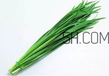 立秋后可以種韭菜嗎？怎樣種韭菜？